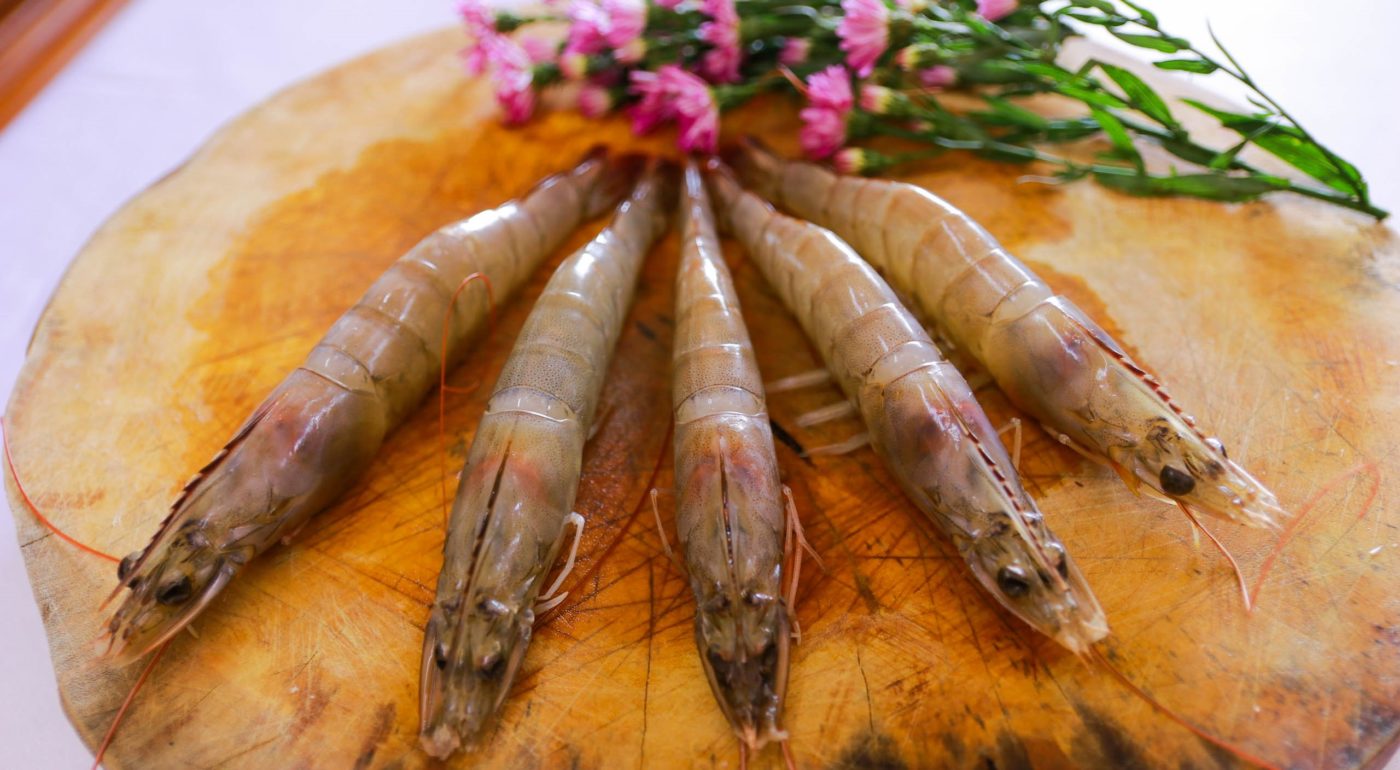 Hoso Vannamei Shrimp Việt Nam Seafood